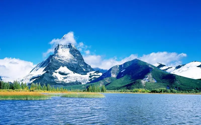 网络化可靠性智能